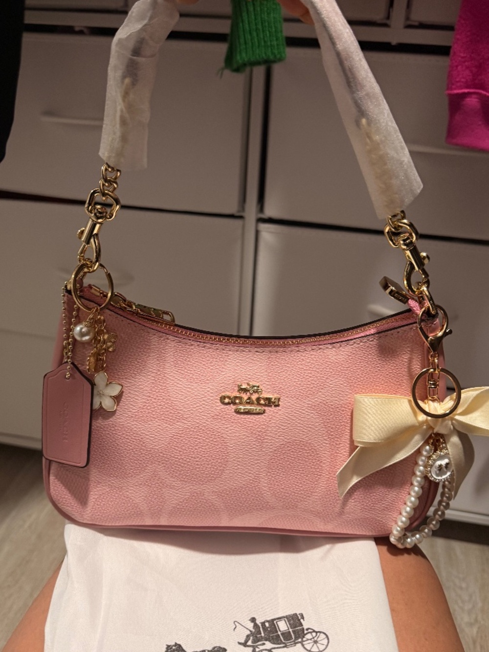 coach bag